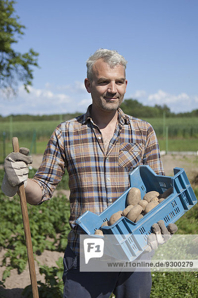 Reifer Mann mit Kiste mit geernteten Kartoffeln im Gemeinschaftsgarten