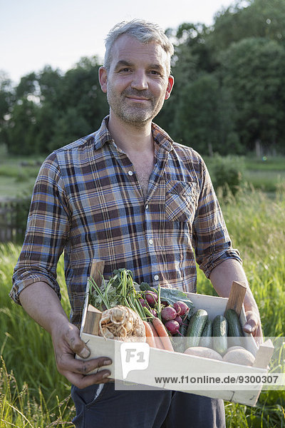 Porträt eines selbstbewussten  reifen Mannes mit einer Kiste frisch geernteten Gemüses im Garten.