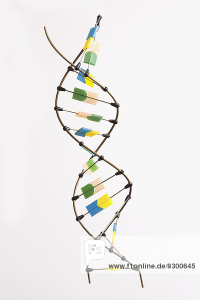 DNA-Molekül vor weißem Hintergrund
