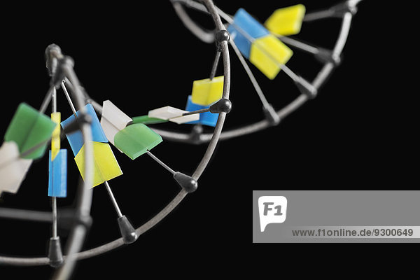 Nahaufnahme des DNA-Moleküls vor schwarzem Hintergrund