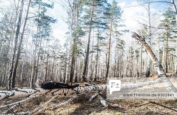 Junge Wanderin auf umgestürztem Baum im Wald liegend