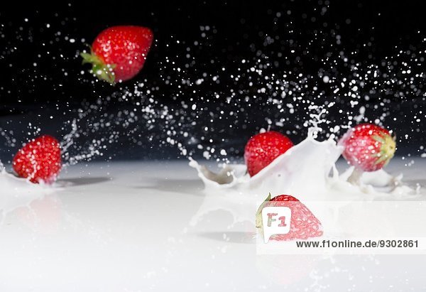 Frische Erdbeeren fallen lassen und in die Milch spritzen