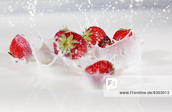 Frische Erdbeeren  die in die Milch spritzen