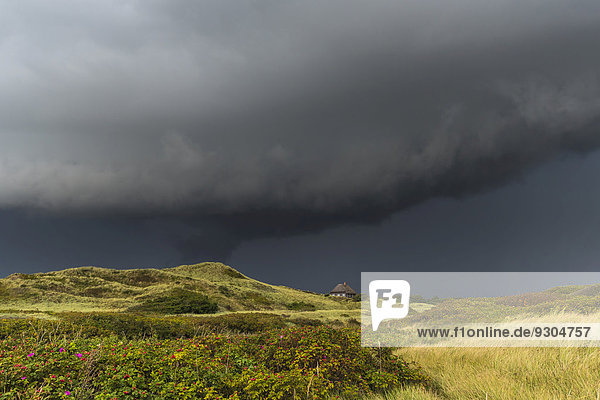 Dramatische Gewitterwolken über Dünenlandschaft  Henne Strand  Region Syddanmark  Dänemark