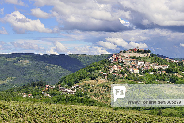 Ausblick über Weingärten auf die Stadt mit Wolkenstimmung  Motovun  Montona  Mirna-Tal  Istrien  Kroatien