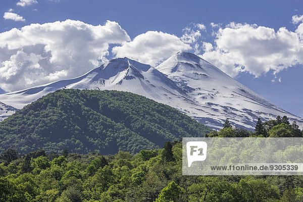 Llaima volcano  Conguillío National Park  Melipeuco  Región de la Araucanía  Chile