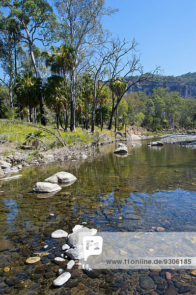 Fluss fließt durch den Carnarvon-Nationalpark  Queensland  Australien