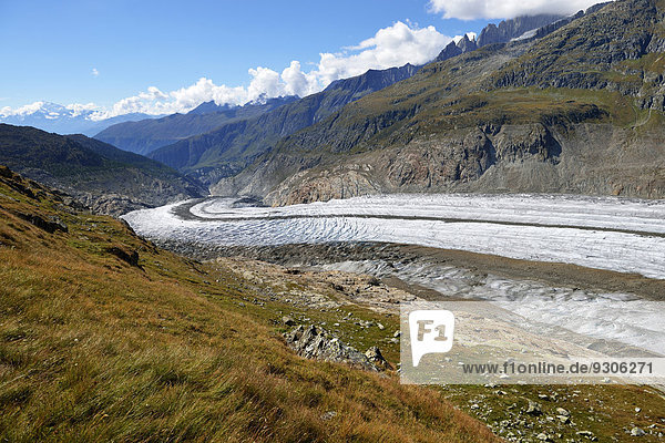 Foothills of the Great Aletsch Glacier  Canton of Valais  Goms  Switzerland