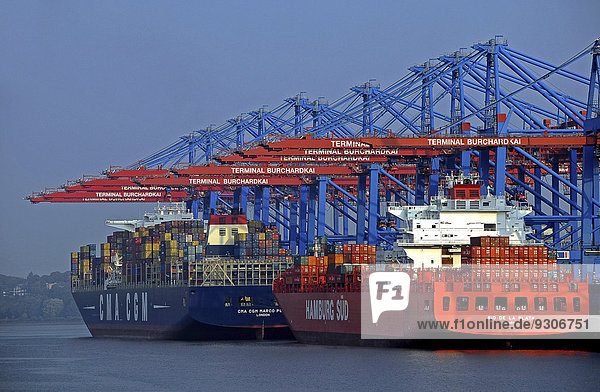 Containerschiffe  Waltershof  Hamburger Hafen  Hamburg  Deutschland