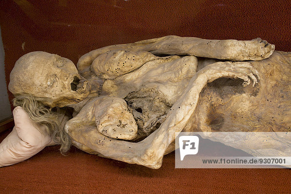 Mumie im Mumienmuseum  Guanajuato  Mexiko