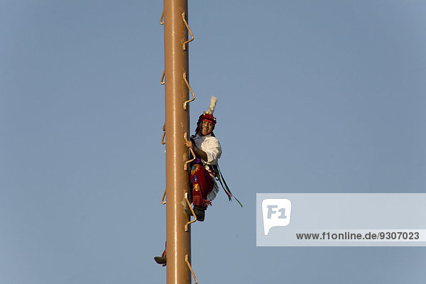 Volador erklettert den Mast palo volador  bei einem Dorffest  San Miguel  Cuetzalan  Puebla  Mexiko
