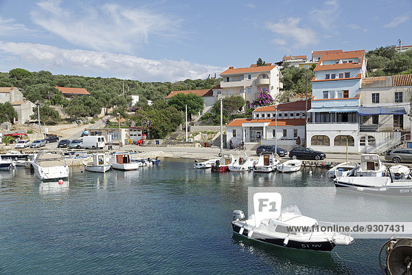 Boats in the harbour  Lun  Pag island  Dalmatia  Croatia