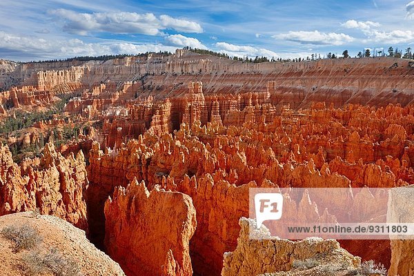 Vereinigte Staaten von Amerika USA Bryce Canyon Nationalpark Utah