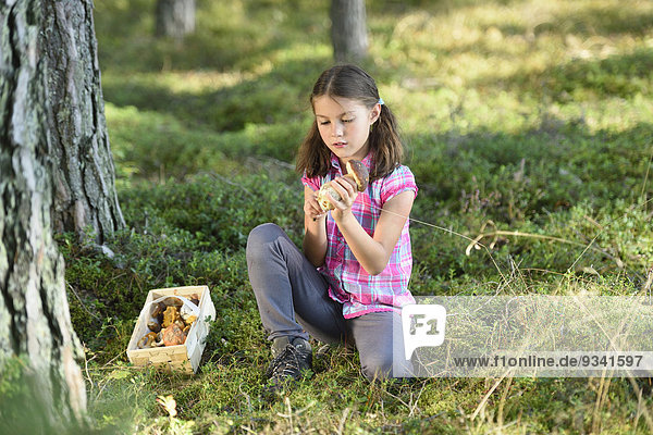 Girl collecting mushrooms in a pine forest