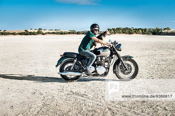 Mid adult man and dog riding motorcycle on arid plain  Cagliari  Sardinia  Italy