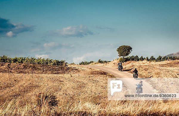 Rear view of four friends riding motorcycles on rural road  Cagliari  Sardinia  Italy