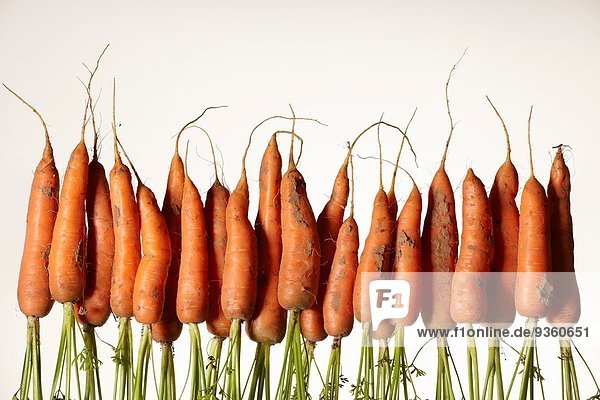 Eine Reihe umgedrehter frischer Karotten mit Wurzeln
