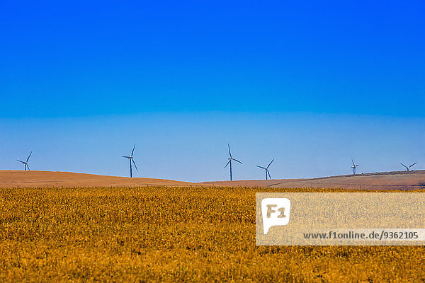 Windturbine Windrad Windräder Ländliches Motiv ländliche Motive Landschaft