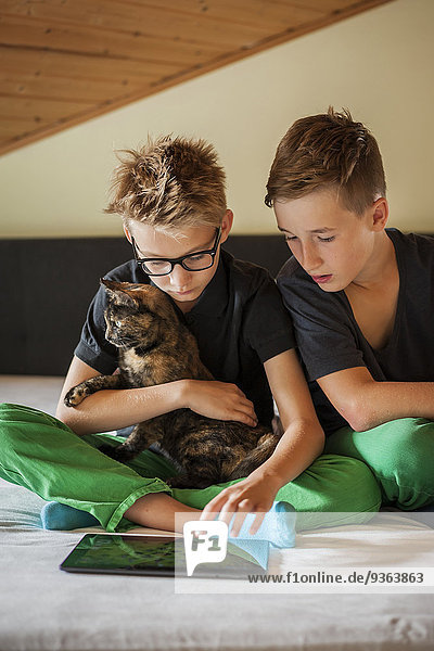 Zwei Jungen sitzen mit einer Katze auf dem Bett und benutzen ein digitales Tablett.