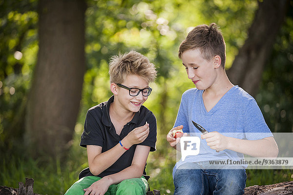 Zwei Jungen sitzen auf einem Baumstamm und schneiden mit einem Taschenmesser einen Apfel.