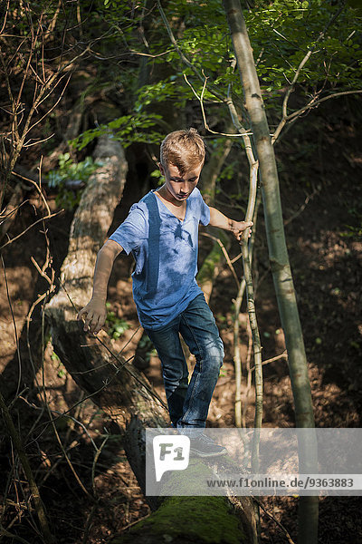 Junge balanciert auf einem Totholz im Wald.