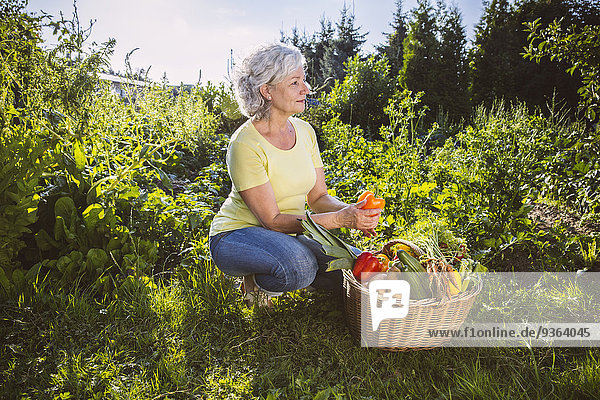 Deutschland  Nordrhein-Westfalen  Bornheim  Seniorin mit Gemüsekorb im Garten