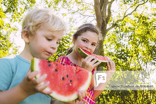 Kinder essen Wassermelonenscheiben im Garten