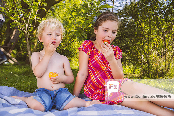 Junge und Mädchen genießen Obst auf Picknickdecke im Garten