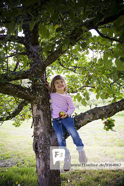 Porträt eines lächelnden kleinen Mädchens mit einem Apfel auf einem Apfelbaum sitzend