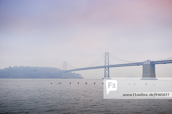 USA  Kalifornien  San Francisco  Oakland Bay Bridge und Yerba Buena Island im Morgennebel