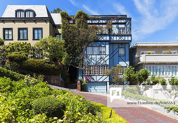 USA  California  San Francisco  Houses at Lombard Street