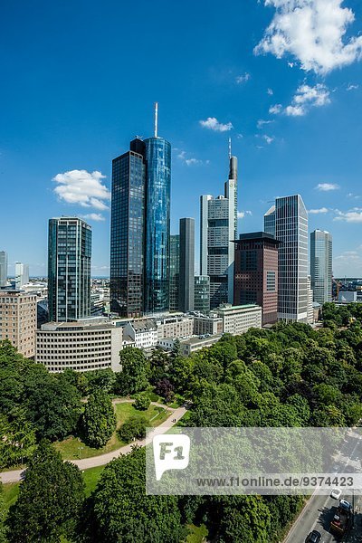 Skyline von Frankfurt am Main  Deutschland