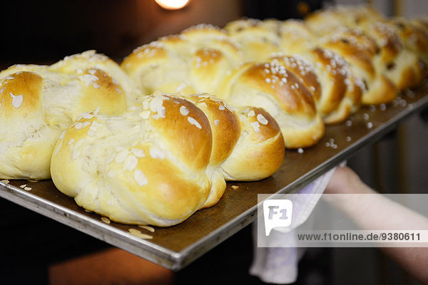 Baked raided yeast bun on a baking tray