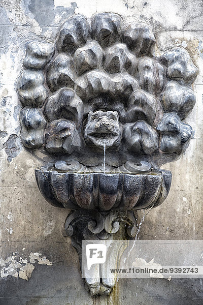 Wasser Rom Hauptstadt Europa Italien Sonntag