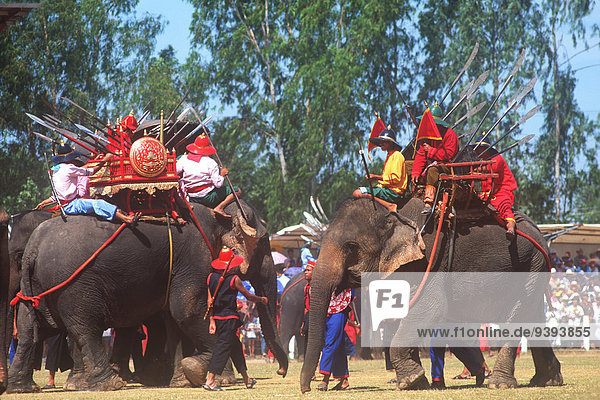 Procession  Elephant Round-Up  Surin  Thailand