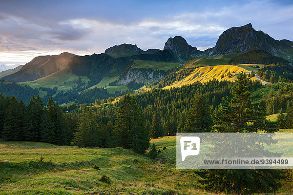 Naturschutzgebiet Europa Ansicht Berner Oberland Kanton Bern Schweiz Morgenstimmung