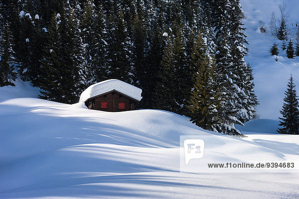 Europa Winter Wohnhaus Wald Holz Kanton Graubünden Schnee Schweiz