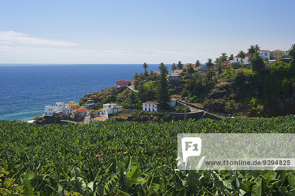 Außenaufnahme Europa Tag Küste Landwirtschaft niemand anbauen Kanaren Kanarische Inseln Plumpsklo Plantage La Palma Spanien