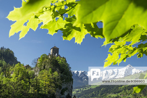 Domleschg  Ortenstein  GR  Piz Berverin  mountain  mountains  castle  canton  GR  Graubünden  Grisons  spring  Switzerland  Europe