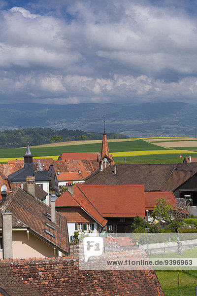 Prahins  canton  VD  Vaud  Western Switerland  Romandie  village  rape  Switzerland  Europe