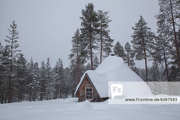 Landschaftlich schön landschaftlich reizvoll Europa Winter Wohnhaus Baum Landschaft weiß Finnland Lappland Schnee