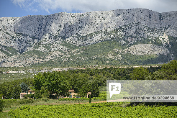 Frankreich Europa Wein Landschaft Weinberg