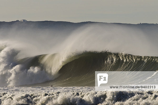 Schönheit Wasserwelle Welle