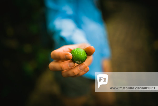 Anschnitt Außenaufnahme Mittlerer Ausschnitt Menschliche Hand Menschliche Hände Einzelperson eine Person Tag Frucht klein grün halten Querformat Close-up Tropisch Tropen subtropisch Costa Rica Fokus auf den Vordergrund Fokus auf dem Vordergrund freie Natur