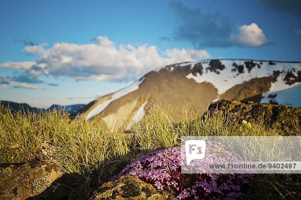 Felsformation Naturschutzgebiet Außenaufnahme Berg Tag Wolke Blume Landschaft Schönheit niemand lila Natur Querformat Wiese Gras Horizont British Columbia Kanada Fokus auf den Vordergrund Fokus auf dem Vordergrund Idylle freie Natur