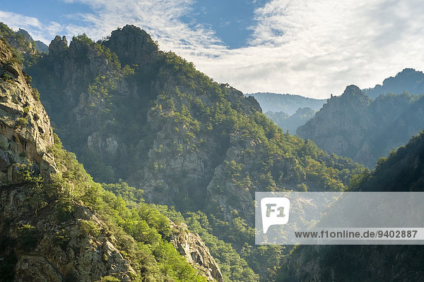 Felsformation Gebirge Außenaufnahme Landschaftlich schön landschaftlich reizvoll Frankreich Berg Tag Wolke Ruhe Himmel Landschaft Schönheit niemand Wald Natur Querformat Sonnenlicht Horizont Sehenswürdigkeit Idylle Languedoc-Roussillon Gebirgszug freie Natur