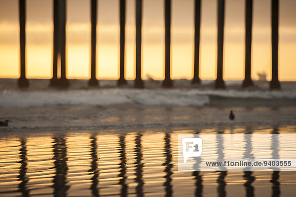 Vereinigte Staaten von Amerika USA Reihe Außenaufnahme Landschaftlich schön landschaftlich reizvoll Wasser Ruhe Strand Sonnenuntergang Silhouette Ozean Küste niemand Spiegelung 1 Querformat Kai Vogel Sonnenlicht Landschaft Kalifornien Huntington Beach Idylle Einzelnes Tier freie Natur Wildtier