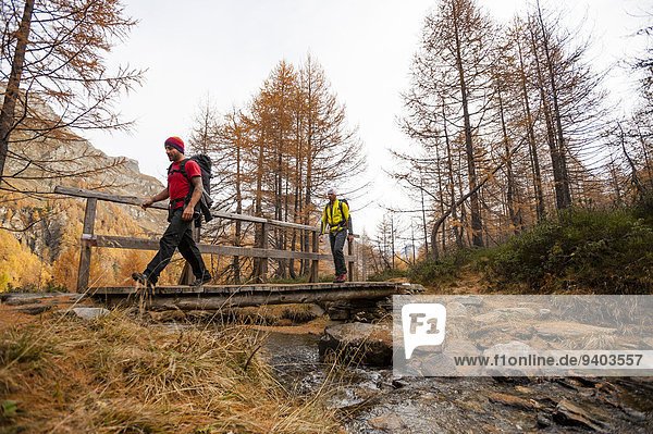 Two boys crossing a bridge while hiking in Devero National Park  Ossola  Italy.