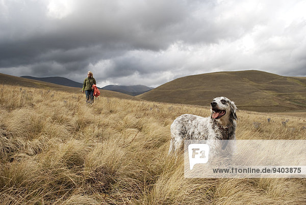 Dog and woman walking through meadow in mountains.