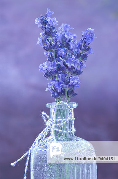 Lavendelblüte und Lavendelwasser in einer Glasflasche